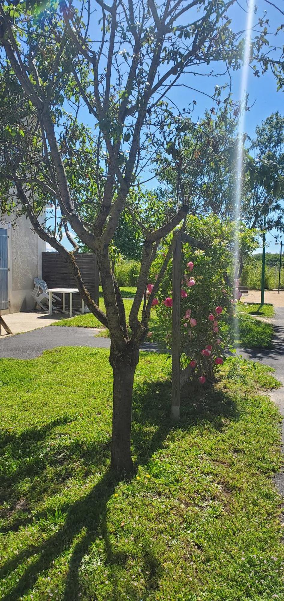 Le Canal Climatisation Wi-Fi Parking Jardin Piscine 15 Mn De Beziers コロンビエール エクステリア 写真